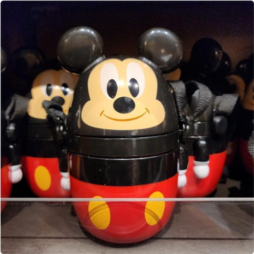 [10/15/2024-10:14-320] Mickey Drinking Bottle 