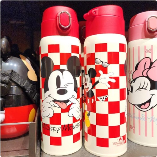 [10/15/2024-10:15-480] Stainless Tumbler Mickey 