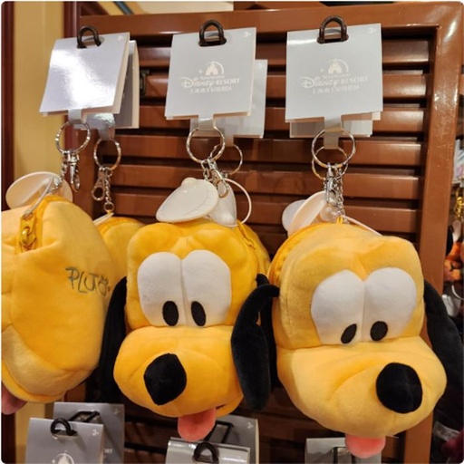 [10/15/2024-10:28-330] Pluto's funny keychain pouch