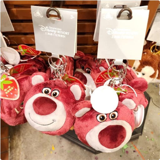 [10/15/2024-10:28-330] Lotso Funny Keychain Pouch 