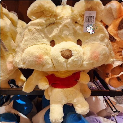 [10/15/2024-10:31-600] Cap Pooh 
