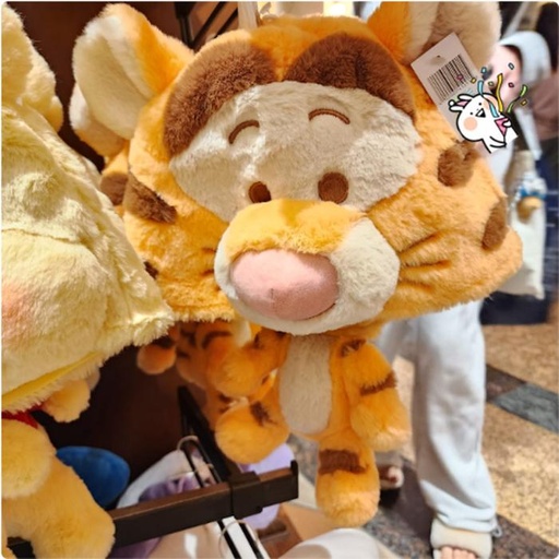 [10/15/2024-10:31-600] Cap Tigger 
