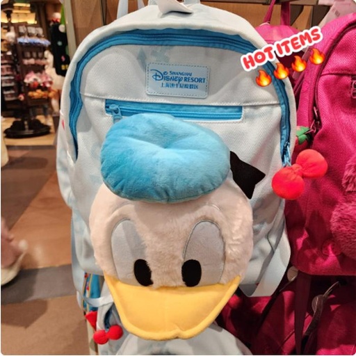 [10/15/2024-12:48-None1050] Backpack Donald 