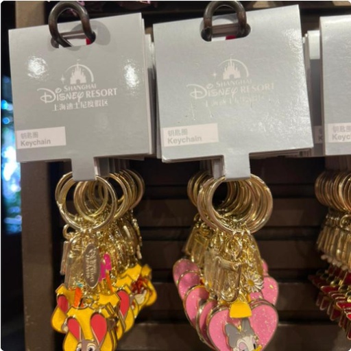 [10/15/2024-13:50-240] Keychain Metal SHDR @Each