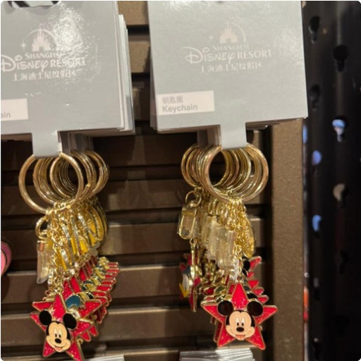 [10/15/2024-13:50-240] Keychain Metal SHDR @Each