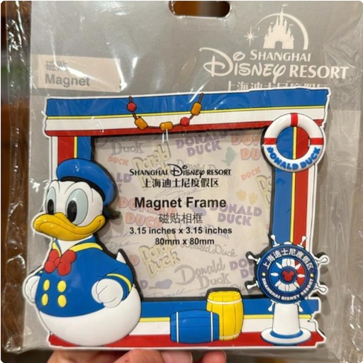 [10/15/2024-13:53-270] Donald's magnetic frame