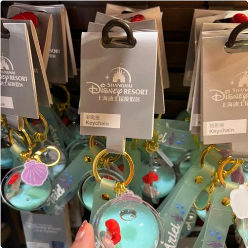 [10/15/2024-13:56-310] Keychain princess in water ariel 