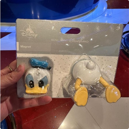 [10/31/2024-19:36-280] Donald Magnet