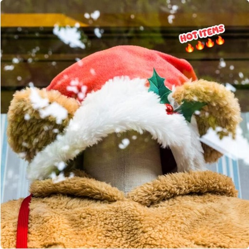 [11/2/2024-09:12-540] Hat Duffy Xmas