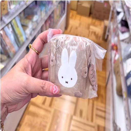 [11/2/2024-12:52-220] Miffy Mini Mesh Pouch Brown can for Airpods