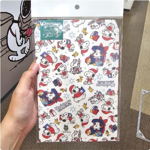 [11/2/2024-15:41-125] Snoopy envelope a5 size contents 8 pcs