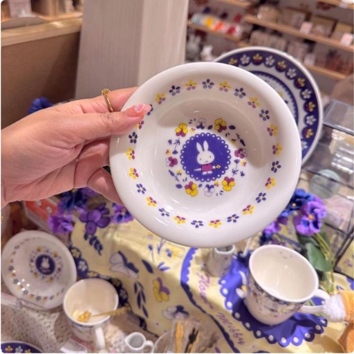 [11/3/2024-09:20-400] Miffy Bowl Ceramics, the design is interesting