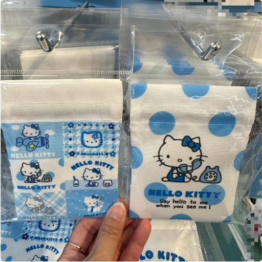 [11/3/2024-14:30-120] Mini pouch shaved blue