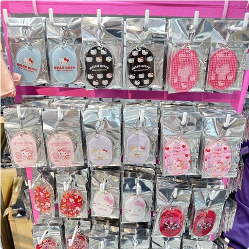 [11/3/2024-16:19-150] Keychain Sanrio motif