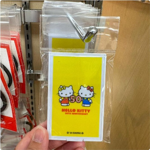 [11/3/2024-16:34-110] Hello Kitty Mini Mirror