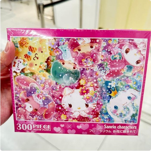 [11/3/2024-19:38-350] Sanchar Jigsaw Puzzle 300 Pcs