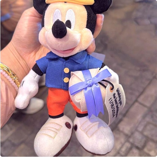[11/4/2024-11:36-460] Mickey Strap 
