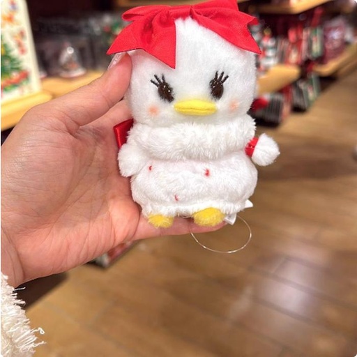 [11/5/2024-11:24-260] Urupochan Daisy Xmas