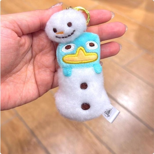 [11/5/2024-11:58-230] Mini Pillah Can Make Ornaments - Perry 