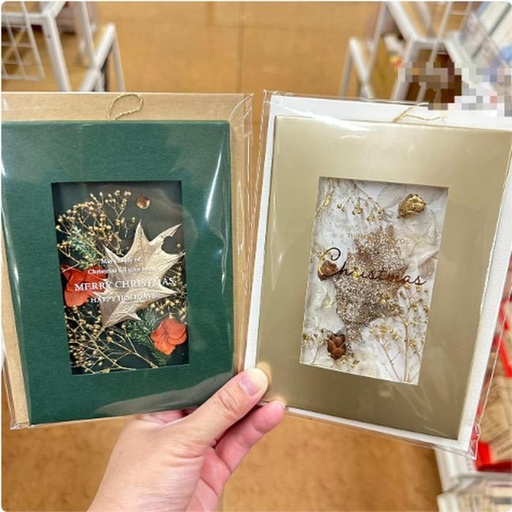 [11/5/2024-18:10-140] Xmas cards. Like using leaves dried inside