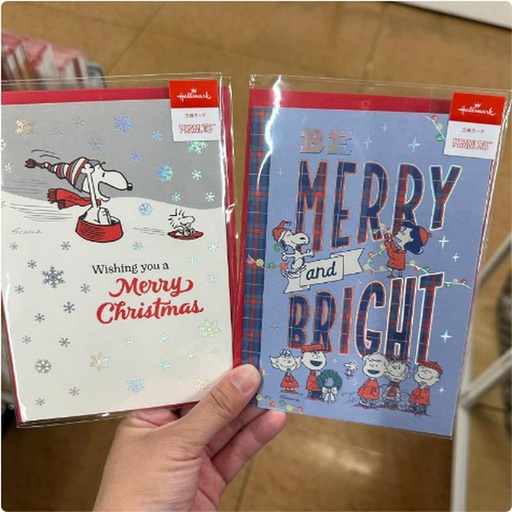 [11/5/2024-19:19-100] Snoopy Xmas Hallmark Card