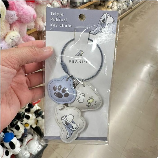 [11/5/2024-20:01-175] Snoopy Triple Mascot Keychain