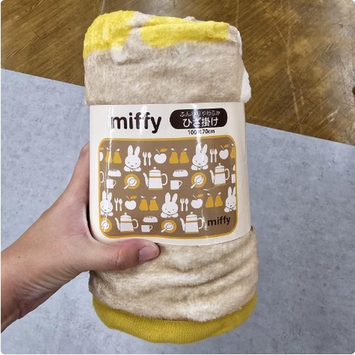 [11/5/2024-21:02-340] Miffy Blanket Kitchen motif