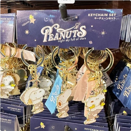 [11/6/2024-15:06-395] Snoopy keychain set winter cool, get 3 kinds