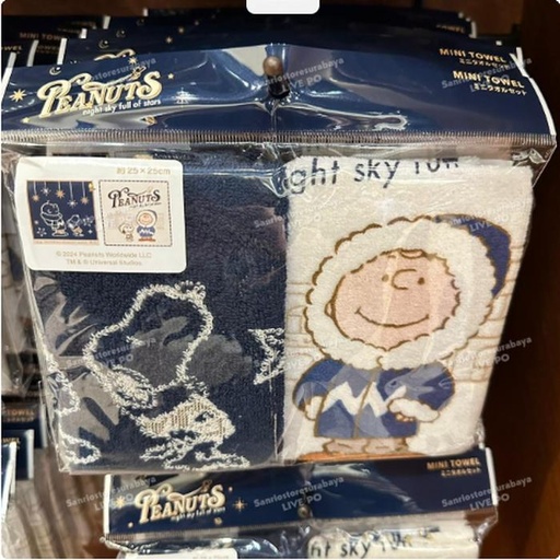 [11/6/2024-15:42-350] Snoopy Mintow Set Winter Coll
