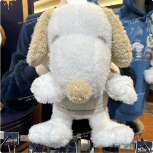 [11/6/2024-17:38-790] Snoopy Warm Hand Plush Winter Coll