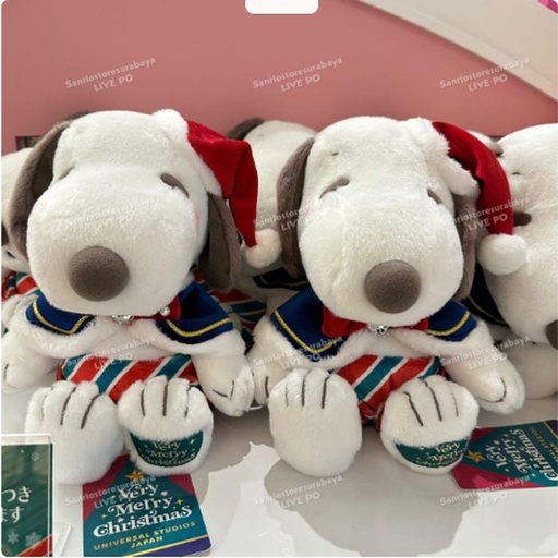 [11/6/2024-17:49-655] Snoopy Christmas Plush Usj