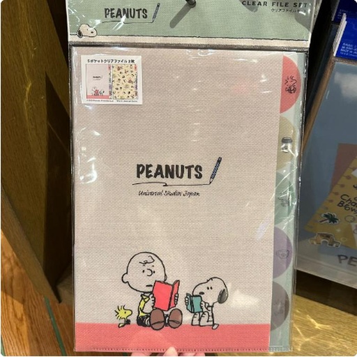 [11/6/2024-21:27-260] Snoopy A4 Index Holder Set