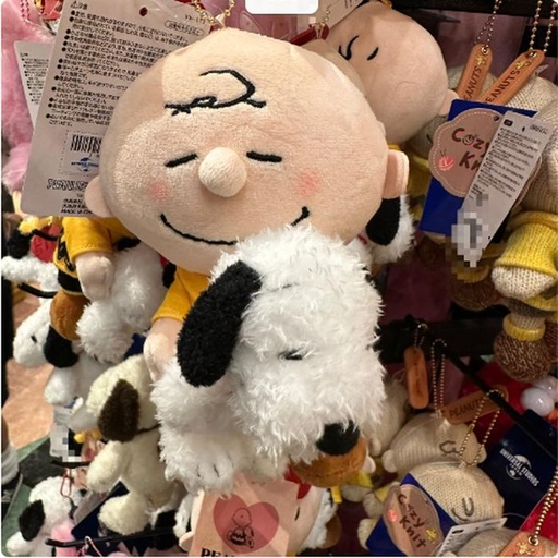 [11/6/2024-21:33-375] Charlie Snoopy Strap Mascot Sleep