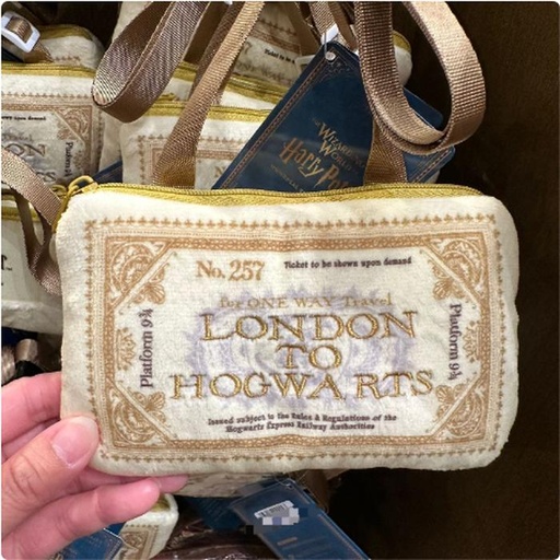 [11/7/2024-09:51-300] Harry Potter Sling Pass Case Soft Case