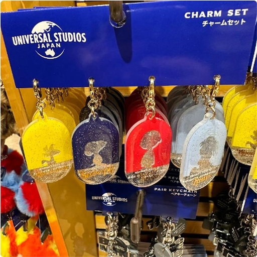 [11/7/2024-10:33-425] Snoopy charm set contents 4 pcs