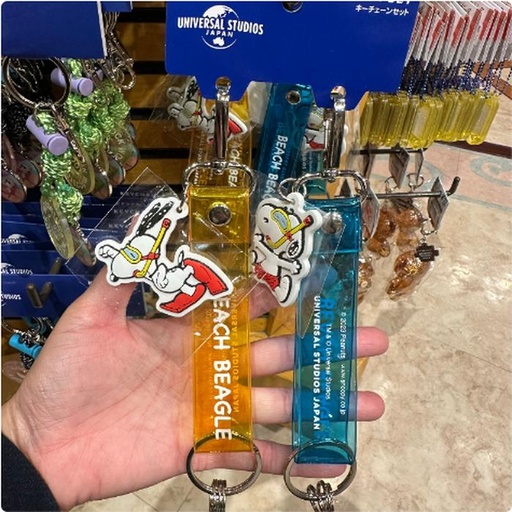 [11/7/2024-10:41-360] Keychain Strap Snoopy Set