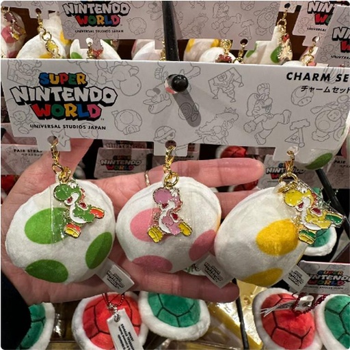 [11/7/2024-11:13-440] Charm set nintendo usj