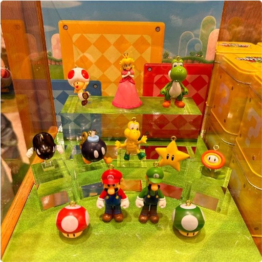 [11/7/2024-11:21-225] Random Figure Mario Usj