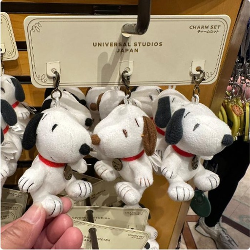 [11/7/2024-11:38-480] Snoopy charm set 3 pcs 
