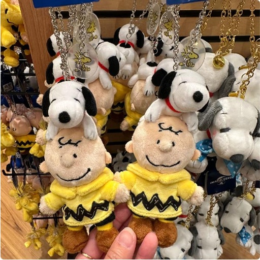 [11/7/2024-12:26-310] Keychain Charlie Snoopy