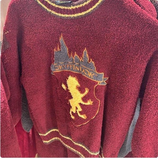 [11/7/2024-14:24-None1500] Pull Over model Gryffindor