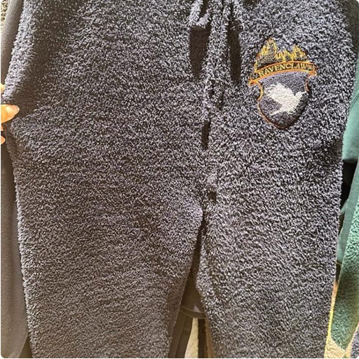 [11/7/2024-14:57-None1260] Long Pants Ravenclaw 