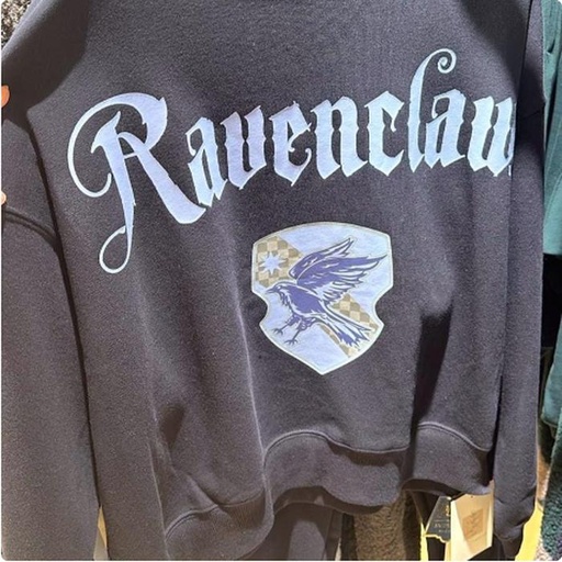 [11/7/2024-14:59-None1215] Sweatshirt Ravenclaw Bust 138 cm 