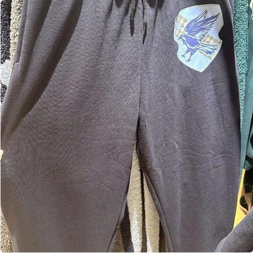 [11/7/2024-14:59-None1290] Long Pants Ravenclaw 