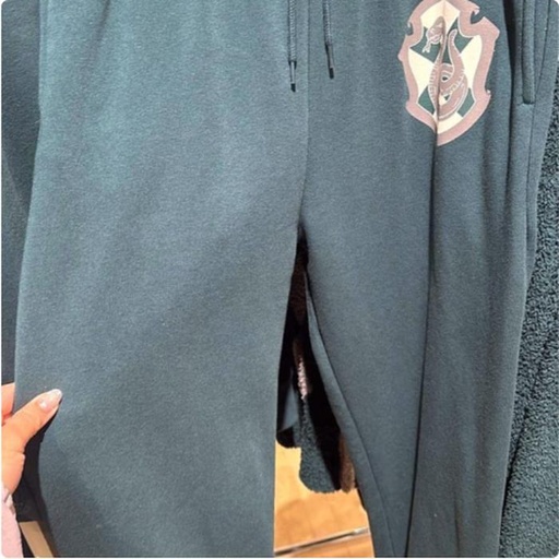 [11/7/2024-15:07-None1290] Long pants slyhterin 