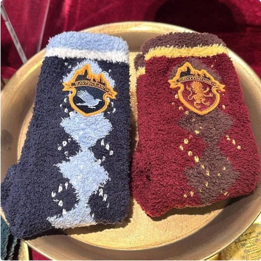 [11/7/2024-16:01-595] Sock Harry Potter @each
