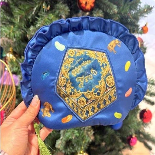 [11/7/2024-16:44-740] Harry Potter Blue pouch