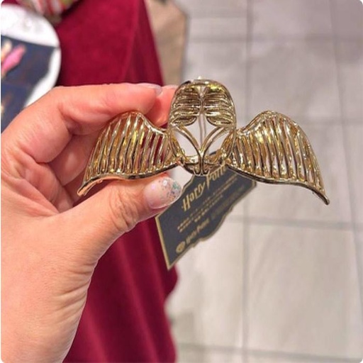 [11/7/2024-17:46-650] Jedai Harry Potter