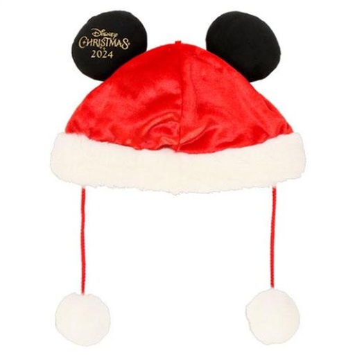 [11/8/2024-08:13-510] Xmas Mickey Hats