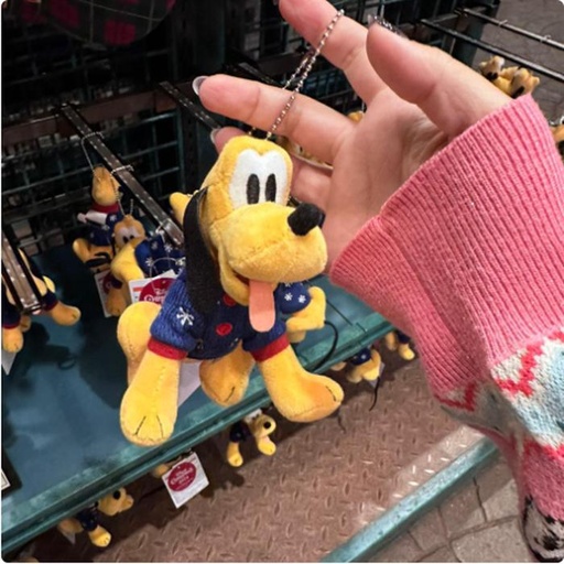 [11/8/2024-16:00-420] Disney Pluto Bag Charm